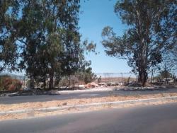Área para Venta en Tlajomulco de Zúñiga - 4