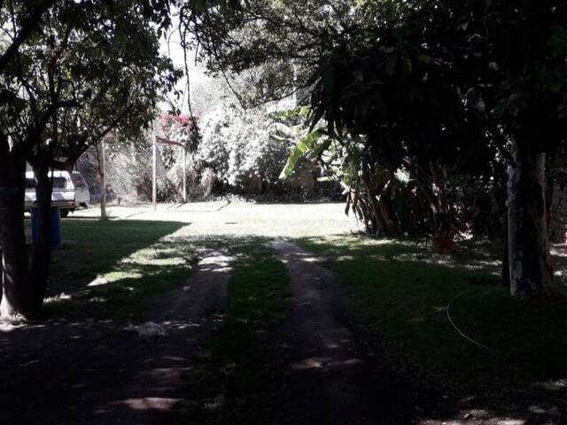 Área para Venta en Tlajomulco de Zúñiga - 5