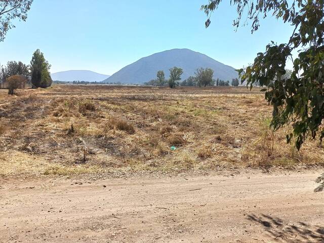 #37 - Área para Venta en Tala - JC - 3