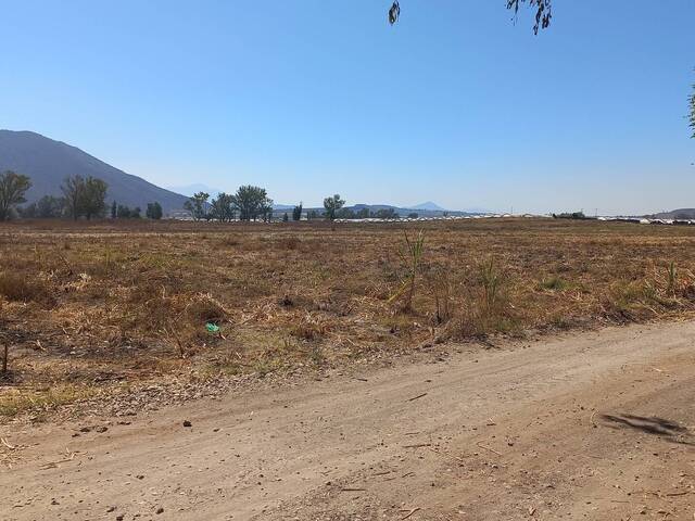 Área para Venta en Tala - 5