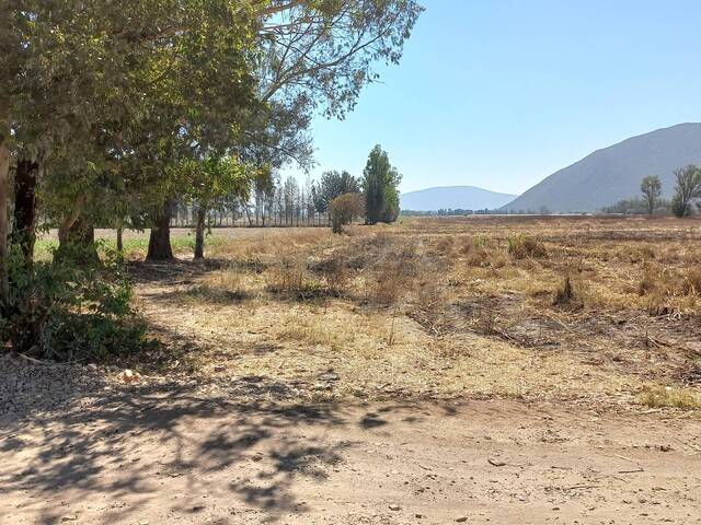 Área para Venta en Tala - 4